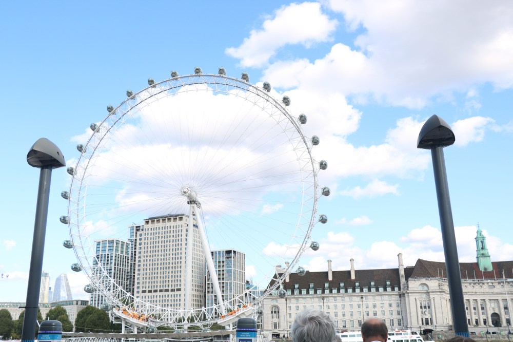 Week 8: Rat and Pigeon play